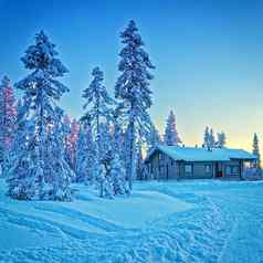 小屋雪冬天森林
