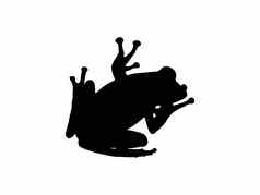 轮廓无尾目动物青蛙孤立的白色背景
