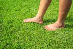 脚一步绿色草