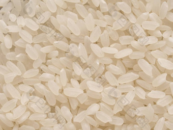 短粮食日本卡尔罗斯大米食物背景