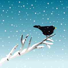 冬天插图黑鸟分支
