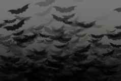 蝙蝠黑暗天空万圣节背景