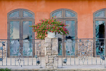 花盆房子植物阳台