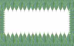 绿色叶子框架孤立的白色背景