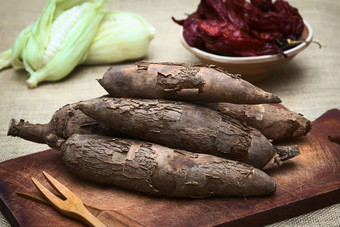 生manioc