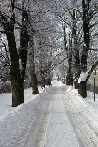 雪路