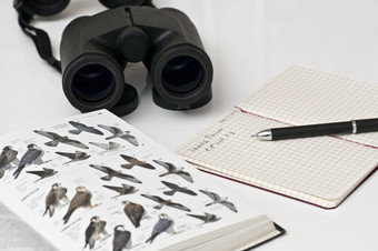 鸟观察家工具双筒望远镜指南铅笔笔记本