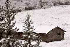 被遗弃的牧场房子冬天柏树山