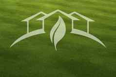 绿色房子重影新鲜的减少草