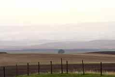 栅栏行风景优美的萨斯喀彻温省大草原
