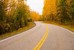 双黄色的行秋天高速公路阿拉斯加高速公路运输