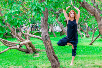 光着脚女人<strong>实践</strong>瑜伽<strong>公园</strong>树