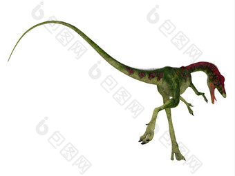 秀颌龙恐龙尾巴