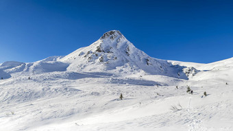 雪峰会