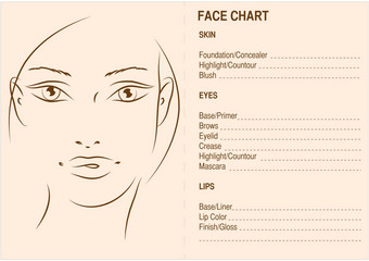 脸图表化妆艺术家空白脸图表