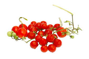 红色的<strong>小西红柿</strong>孤立的白色