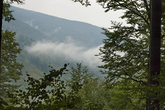 景观petrohan通道巴尔干半岛山多云的一天