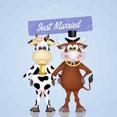 牛牛结婚