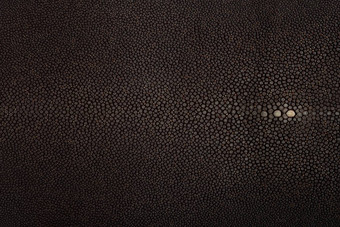 黄貂鱼异国情调的皮革隐藏黑色的颜色