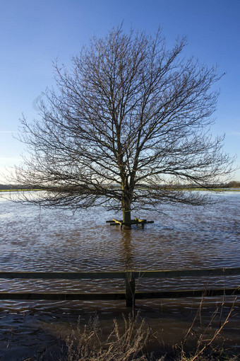 淹没了农田约克郡英格兰
