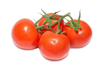 集团红色的西红柿