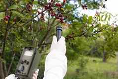 测量辐射水平水果树