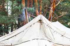绿色帐篷野营野营森林