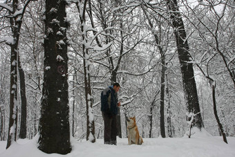 男人。狗雪