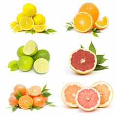 集合新鲜的柑橘类水果