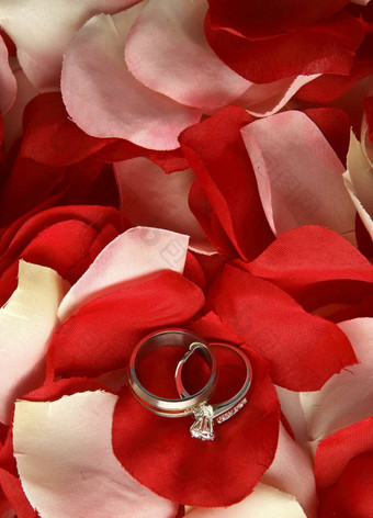 婚礼环玫瑰花瓣