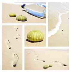 拼贴画海滩场景的足迹海海胆贝壳