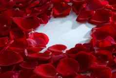 红色的玫瑰花花瓣水疗中心芳香疗法