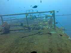 巨大的海难坐在桑迪海底巴厘岛