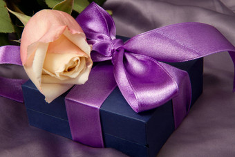 淡紫色礼物玫瑰