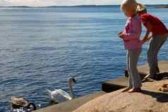 斯堪的那维亚生活方式孩子们喂养鹅