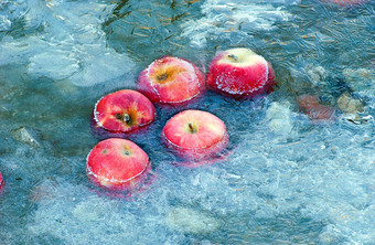 苹果<strong>被困</strong>冻水