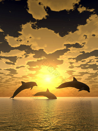 海豚黄色的日落