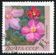 poststamp花