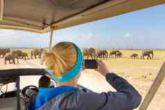 女人采取照片非洲野生动物Safari安博塞利肯尼亚