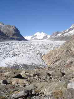 冰河阿莱奇冰川