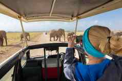 女人采取照片非洲野生动物Safari安博塞利肯尼亚