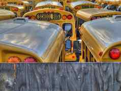 学校公共汽车停车很多