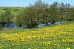 美丽的农村湖春天夏天景观