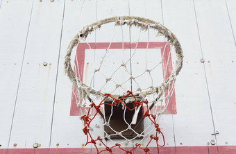篮球希望网