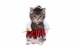 小猫海盗启发服装服装