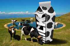 牛放牧牛奶包装