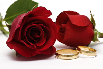 婚礼环红色的玫瑰