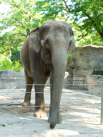 大大象牛站自然储备