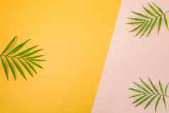 棕榈树叶子粉红色的黄色的背景