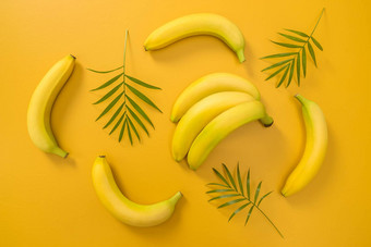 香蕉棕榈叶子黄色的背景